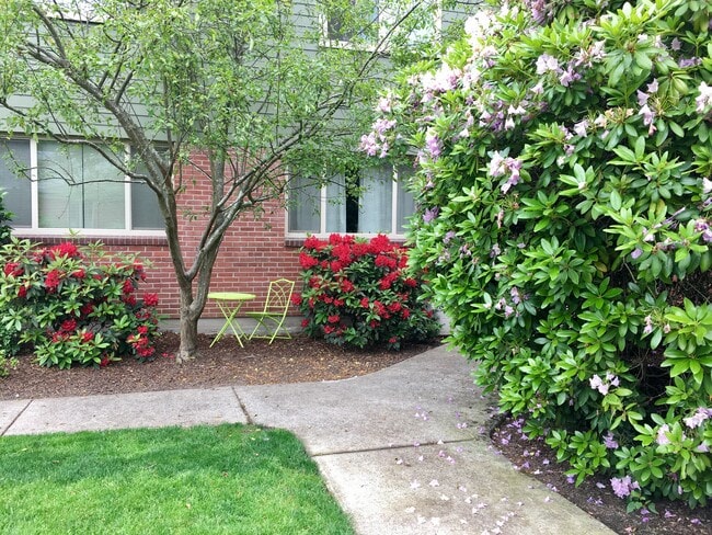 well cared for - 2515 SE 51st Ave