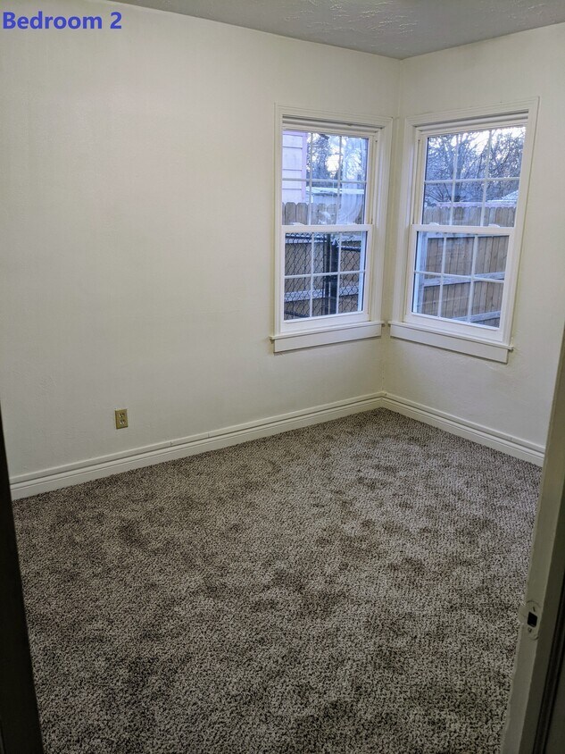 New Windows, New Carpet - 2011 N Burns