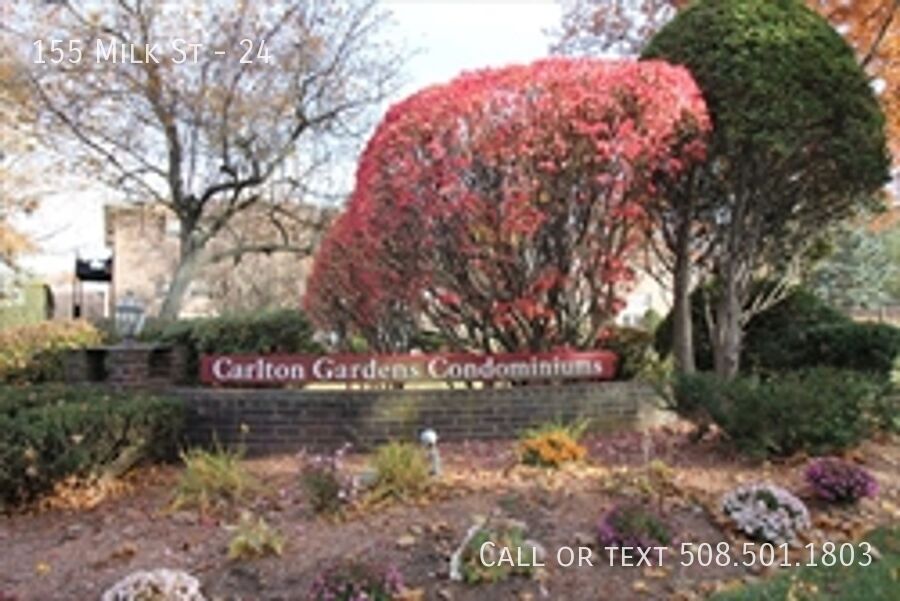 Foto principal - 155 Milk St