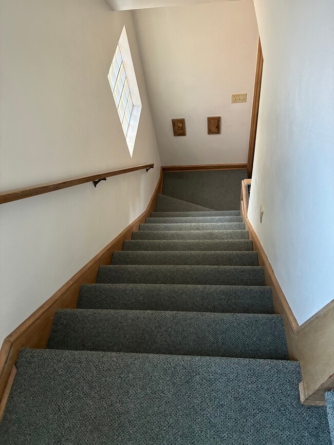 Carpeted stairwell - 4306 N Stowell Ave