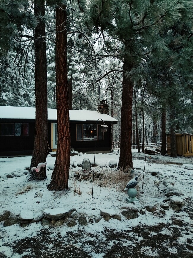 Building Photo - 1834 Mountain Meadow Ln