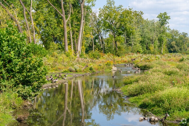 Quittapahilla Creek is near West Lebanon offering some scenic beauty in the area for locals.