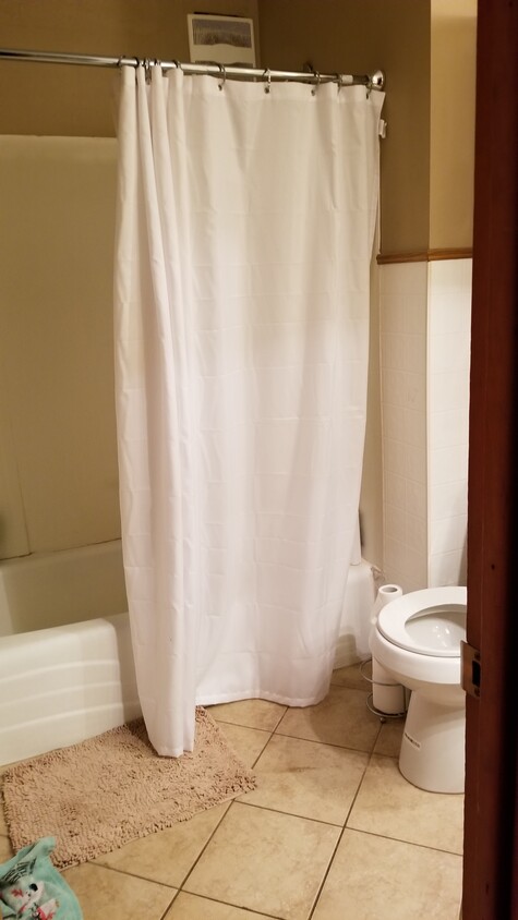 Main floor bathroom - 1516 Linden Way