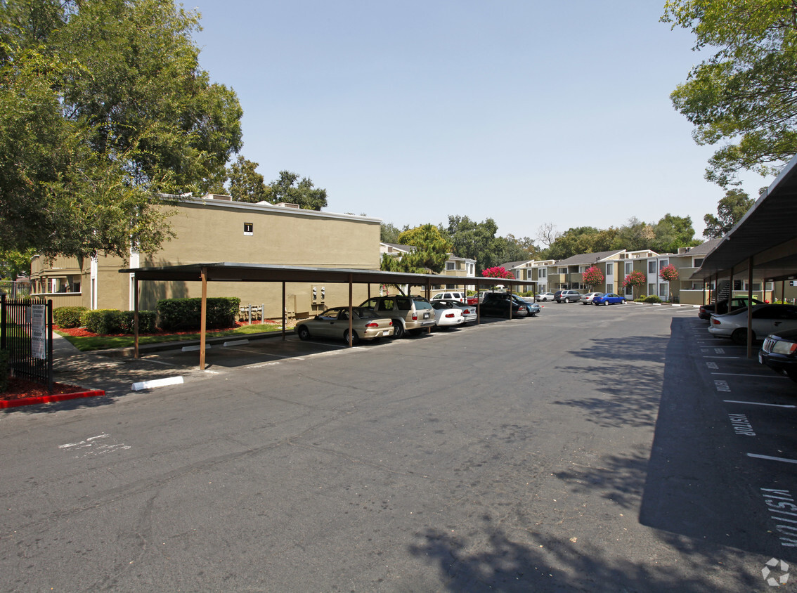 Primary Photo - Madison Oaks Apartments