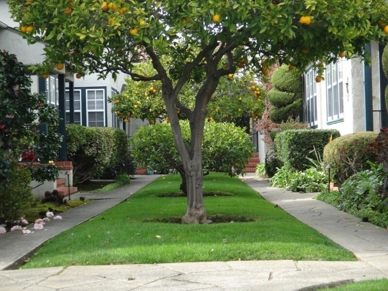 Primary Photo - 132 Dartmouth Rd