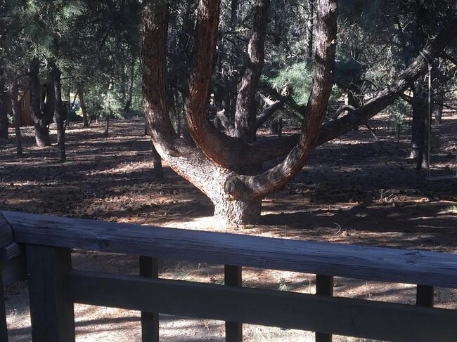 Foto del edificio - 2704 Tirol Dr