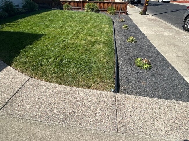 Building Photo - 3891 Mills Way