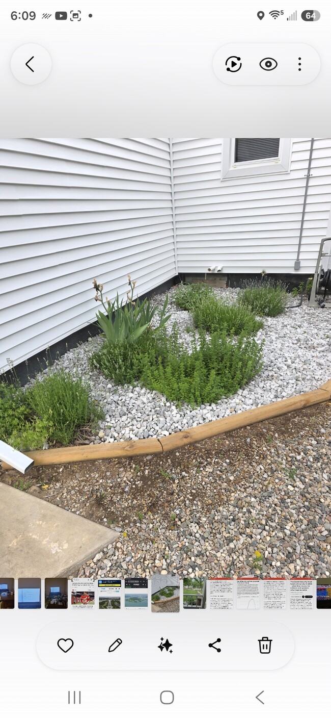 Landscaping herb garden near entry - 413 N Marshall Ave
