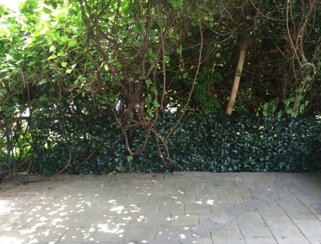 Foto del edificio - 11 Meadow St