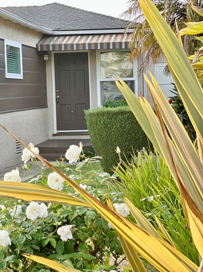 Foto del edificio - Super Cute 3bed 2 bath home with peek-a-boo ocean view South Redondo