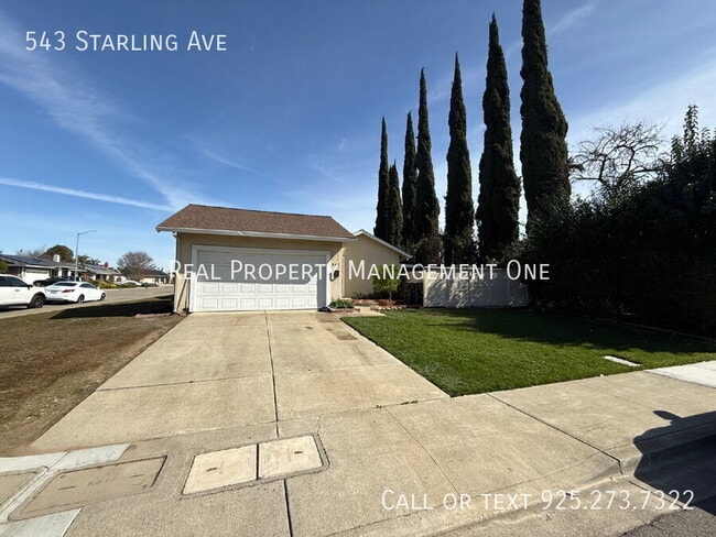 Building Photo - 543 Starling Ave