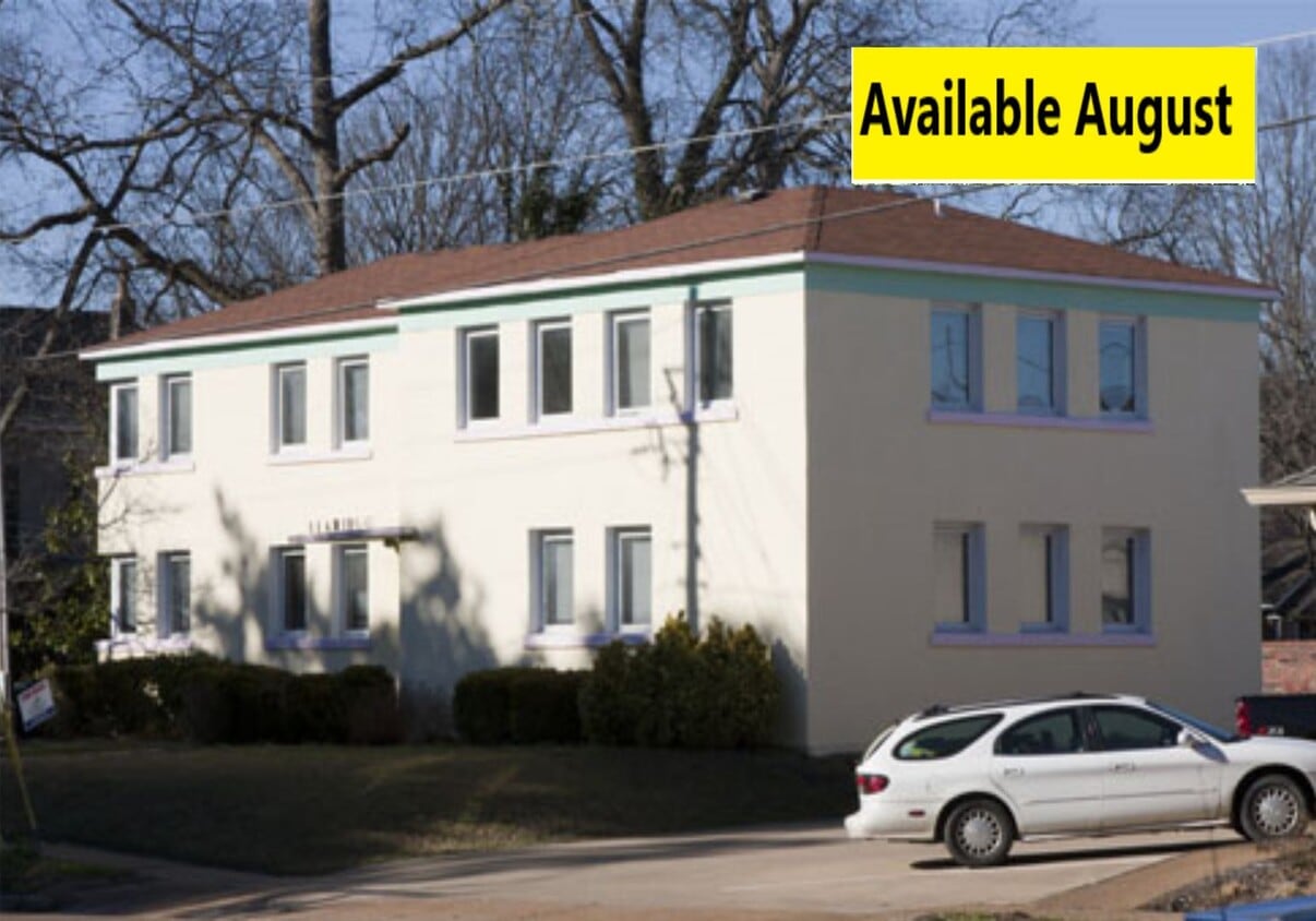 Primary Photo - Flamingo