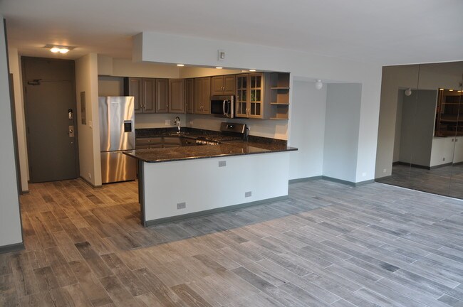 Building Photo - 1000 N Lake Shore Dr