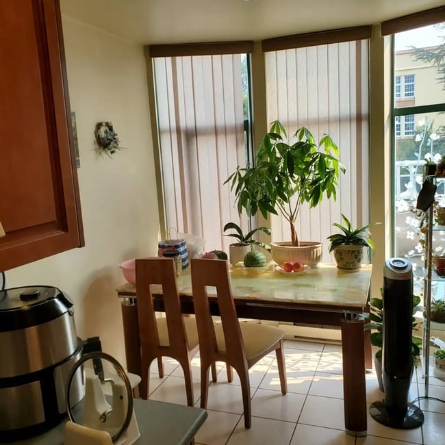 Building Photo - 2533 Penticton St