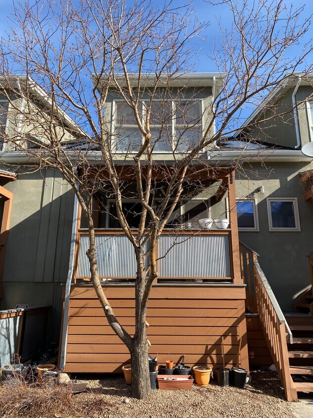 Foto principal - 3223 Iron Forge Pl