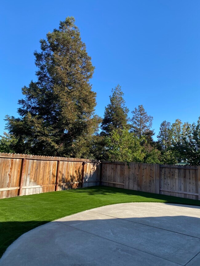 Backyard - 3268 Lagunita Ct