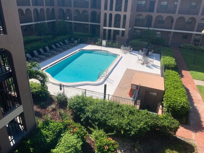Vista a la piscina - 6100 Gulfport Blvd S