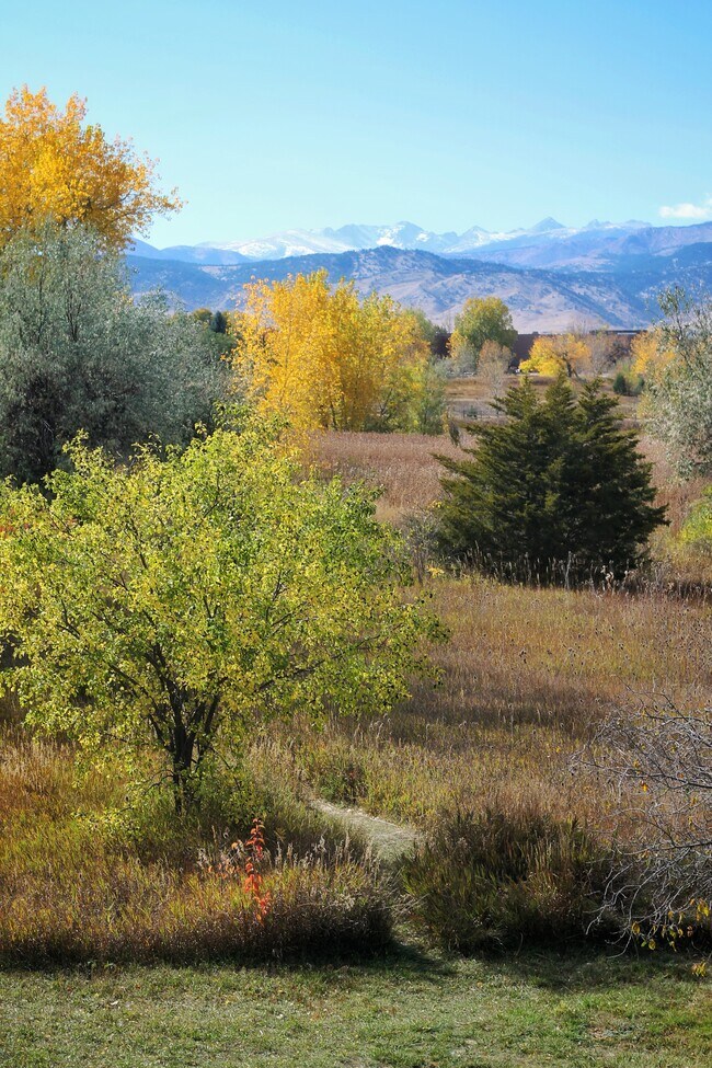Vista desde la unidad - 4945 Twin Lakes Rd