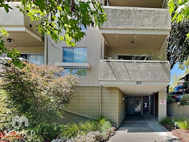 Building Photo - 377 Palm Ave