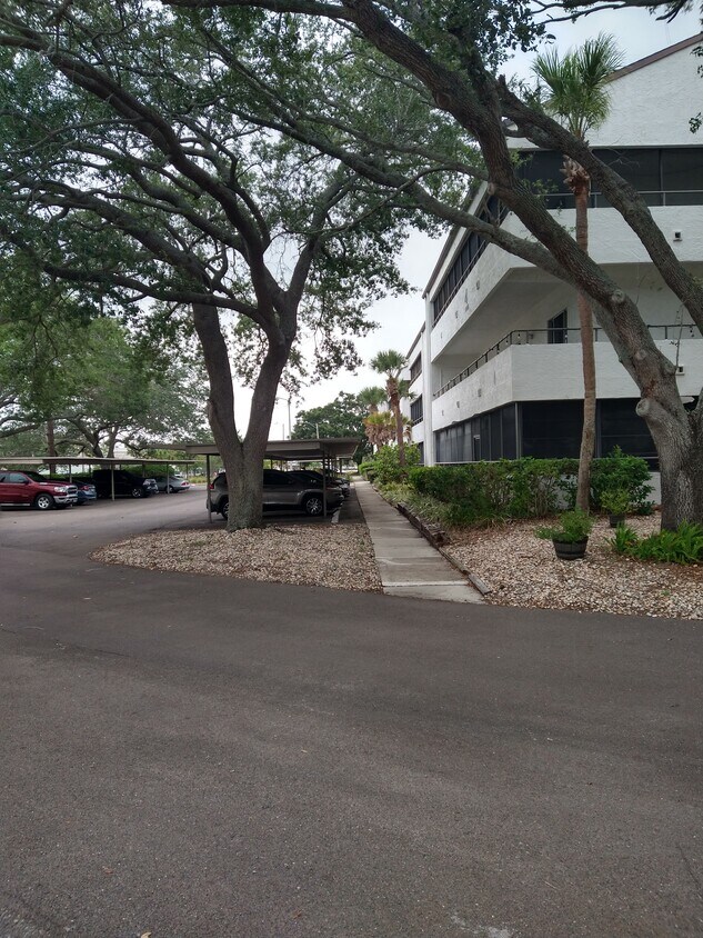 2585 Countryside Blvd Unit 307, Clearwater, FL 33761 Condo for Rent in Clearwater, FL