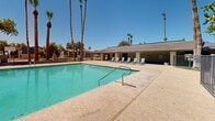 Located at 1829 North 45th Avenue in Phoenix, Arizona, this outdoor community space centers around a generously sized swimming pool set within a well-maintained residential community. The pool area features a smooth concrete surround with ample space for lounging, lined with multiple reclining pool chairs ideal for relaxing under the abundant Arizona sunshine. Tall, mature palm trees and shade trees frame the space, providing natural contrast against the clear blue desert sky and offering pockets of shade throughout the grounds. The pool itself features stainless steel entry rails and is surrounded by a textured aggregate deck. A low-profile clubhouse or amenity building runs along one side of the pool, offering additional seating and shade structure for residents. The community grounds beyond the pool area are enclosed by decorative metal fencing and gated entries, providing a sense of security and privacy. Lush green lawns, colorful flowering planters with blue stone borders, and mature shade trees contribute to an inviting and well-kept landscape. Two-story residential buildings with a contemporary blue and gray color scheme are visible in the background, reflecting a cohesive community aesthetic. The overall atmosphere is open, bright, and welcoming, well-suited to the warm Phoenix climate.