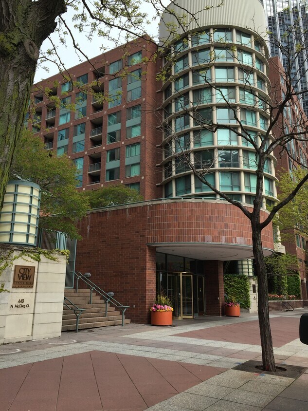 480 N McClurg Ct Unit 806, Chicago, IL 60611 Condo for Rent in