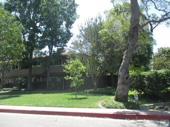 Primary Photo - 972 S Orange Grove Blvd