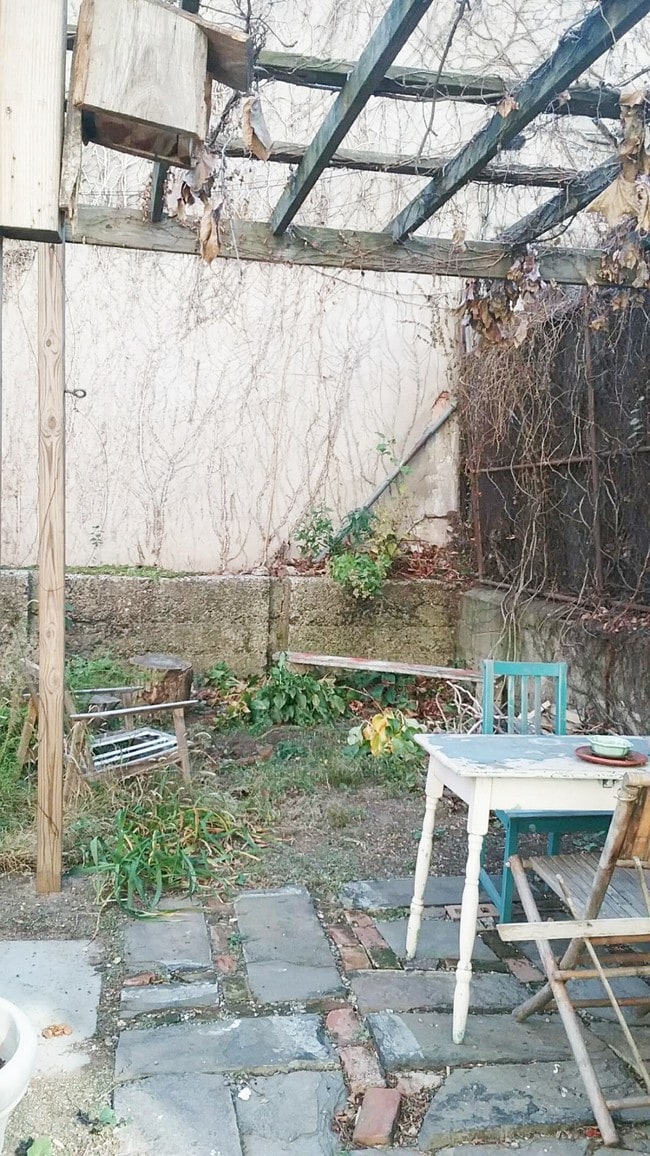 backyard - 223 Van Brunt St