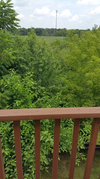 balcón - 1421 Meadowsedge Ln