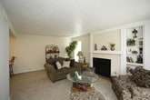 This single-floor residence offers a comfortable and functional layout across several thoughtfully designed rooms. The living room serves as the heart of the home, anchored by a striking white-painted brick fireplace with a classic mantel and flanked by built-in shelving units. Soft carpeting, a glass-top coffee table, and large sliding glass doors dressed with vertical blinds allow natural light to fill the space, creating a warm and inviting atmosphere.

The galley-style kitchen is efficiently arranged with dark espresso cabinetry lining both sides, providing ample storage. Light countertops contrast the cabinetry, and the space is equipped with a gas range, dishwasher, and refrigerator, all set atop easy-care tile flooring.

The residence includes two bedrooms, both finished with plush wall-to-wall carpeting and textured ceilings. The primary bedroom features access to a walk-in closet, while the secondary bedroom benefits from a window that brings in natural light. Both rooms offer a calm, restful ambiance.

The bathroom is neatly appointed with a single-sink vanity featuring white cabinetry and light countertops, a toilet, and a tub-shower combination framed by a curtained surround, all set on tile flooring. Overall, this residence presents a clean, classic interior well-suited for comfortable everyday living.