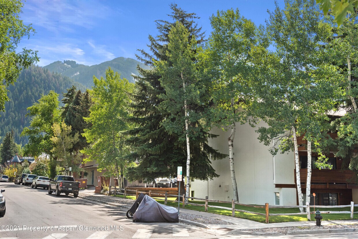 935 E Hopkins Ave Unit 3, Aspen, CO 81611 Condo for Rent in Aspen