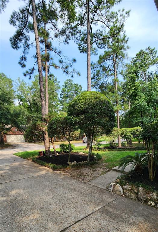 Building Photo - 78 Rockridge Dr