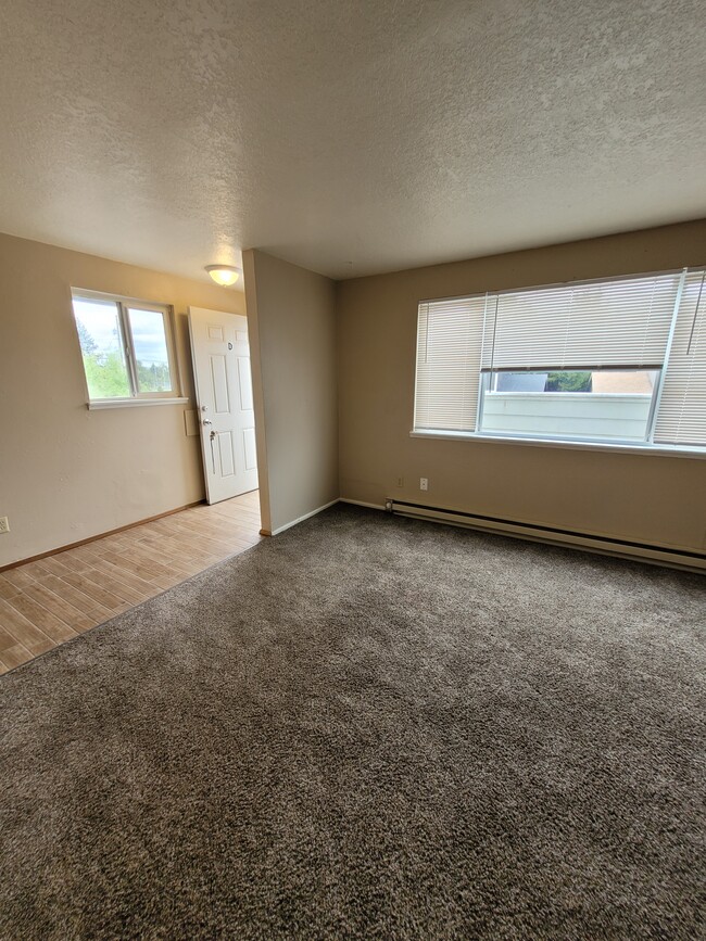 unit d entry into living room - 1045 S Jasper St