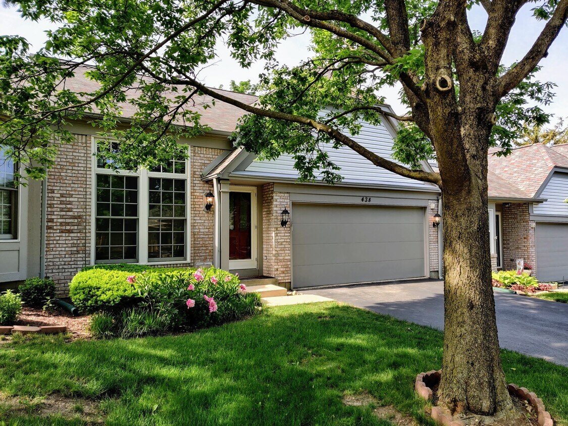 438 Orleans Ave, Naperville, IL 60565 House Rental in Naperville, IL