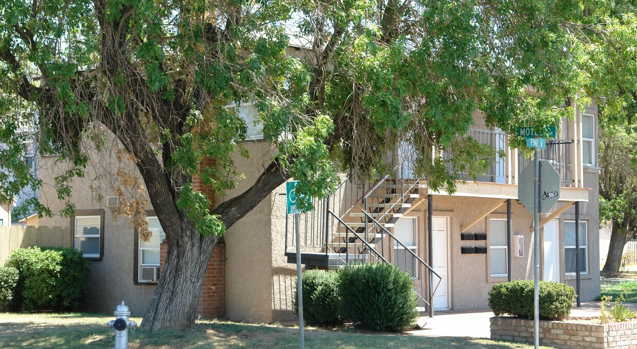 Foto del edificio - 887 Pine St