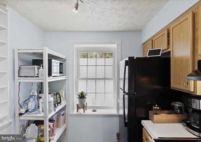 Building Photo - 1654 Devil Ln