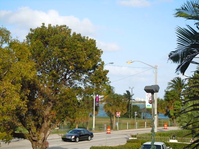 Foto del edificio - 520 NE 38th St