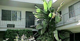 Building Photo - Baird Apartments