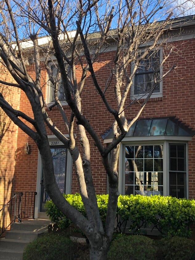 Photo - 2281 Idylwood Station Ln (Falls Church, VA)