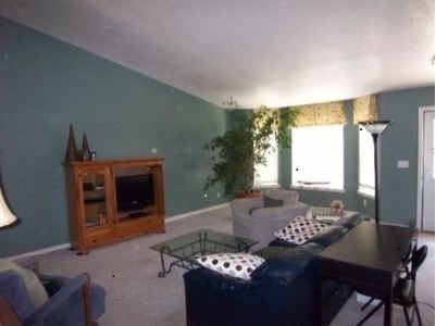 Living room w/vaulted ceiling - 1800 S Grant Ave
