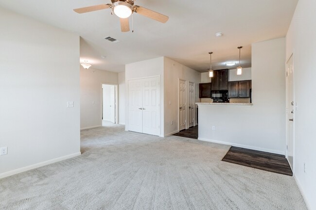 Spacious Living Area - Live Oak Apartments