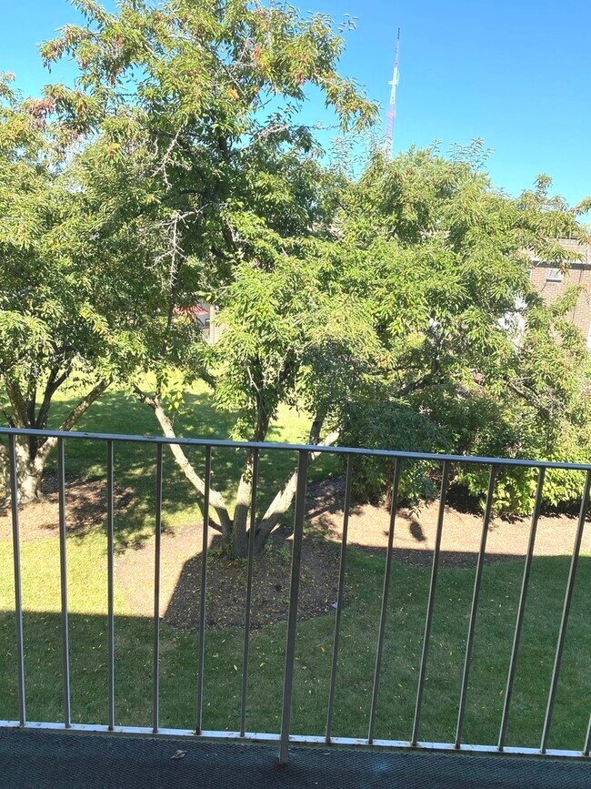 Foto del edificio - 1149 Miller Ln