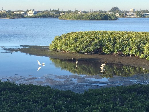 Primary Photo - Waterfront Paradise!