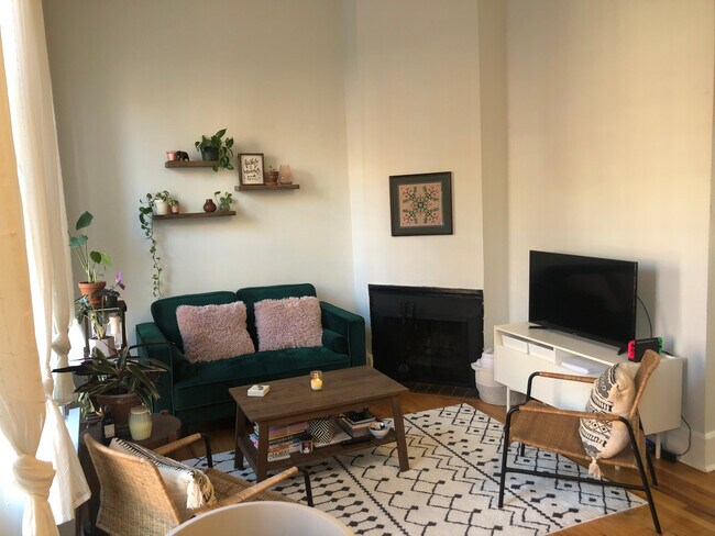 Functional fireplace - 1908 Mount Vernon St