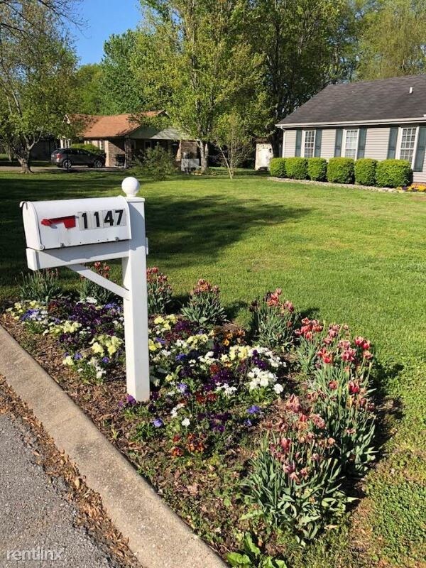 Building Photo - 3 br, 2 bath House - 1147 Langwood Dr
