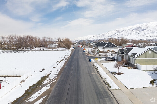 Houses line roads with plenty of space.