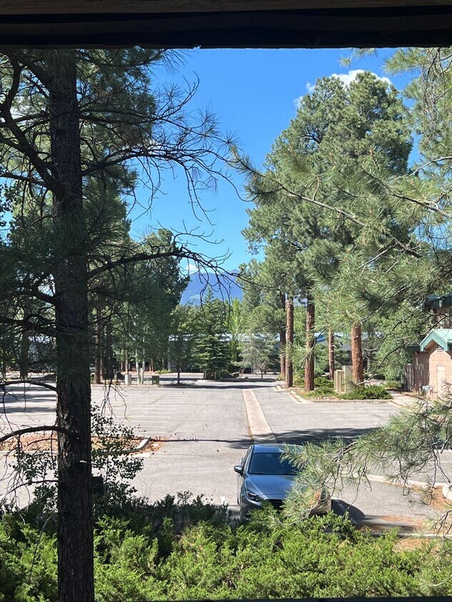 1385 W University Ave, Flagstaff, AZ 86001 Condo for Rent in