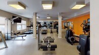 The fitness center at 5 Dennis St in New Brunswick, NJ, is a comprehensively outfitted single-floor facility designed to support a wide range of workout routines. The space is organized into distinct functional zones, creating an efficient and intuitive layout for users. The cardio area lines one side of the room and features multiple treadmills and upright cardio machines, each equipped with individual display screens for entertainment and performance tracking. An accent wall painted in a bold orange adds visual energy to this section of the space.

The strength training area is well-appointed, offering a variety of cable machines, a multi-functional cable tower with suspension training attachments, and a dedicated free weight station with a full rack of dumbbells and an adjustable workout bench. Additional selectorized machines are positioned throughout the floor to target different muscle groups. Full-length mirrors along one wall visually expand the space and allow users to monitor their form during exercises.

Natural light filters in through several windows, complementing the recessed and flush-mounted ceiling light fixtures that keep the space evenly illuminated. The neutral-toned flooring and light-colored walls contribute to a clean, functional atmosphere throughout the facility.