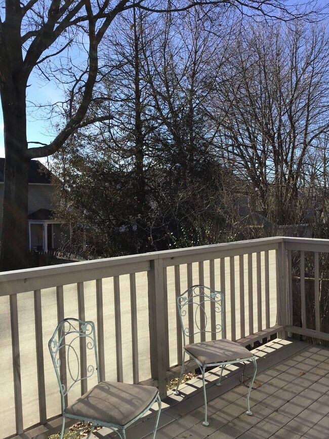 Deck - 399 Windsor Ave