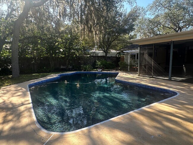 Foto del edificio - 4 Bedroom Pool Home in Longwood!
